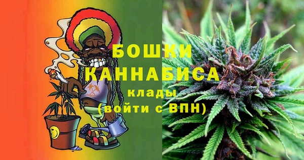 СК Строитель