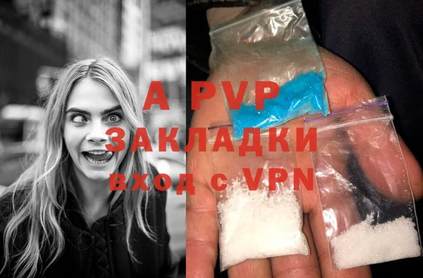 СК Строитель