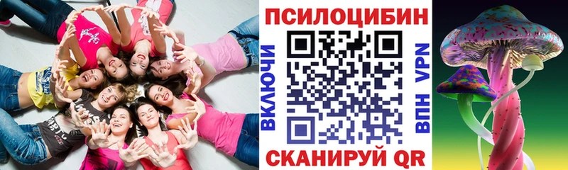 Купить закладки  Данков  Псилоцибиновые грибы ЛСД 